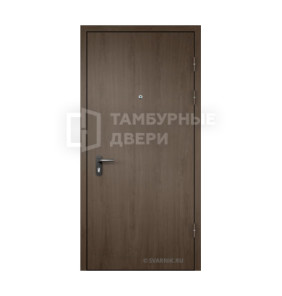 Дверь входная с порошковым напылением и шумоизоляцией в подъезд скелет ТД-10